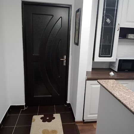Penti Apartament Suceava Bagian luar foto