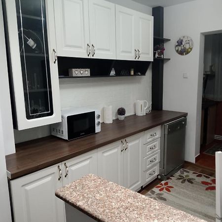 Penti Apartament Suceava Bagian luar foto