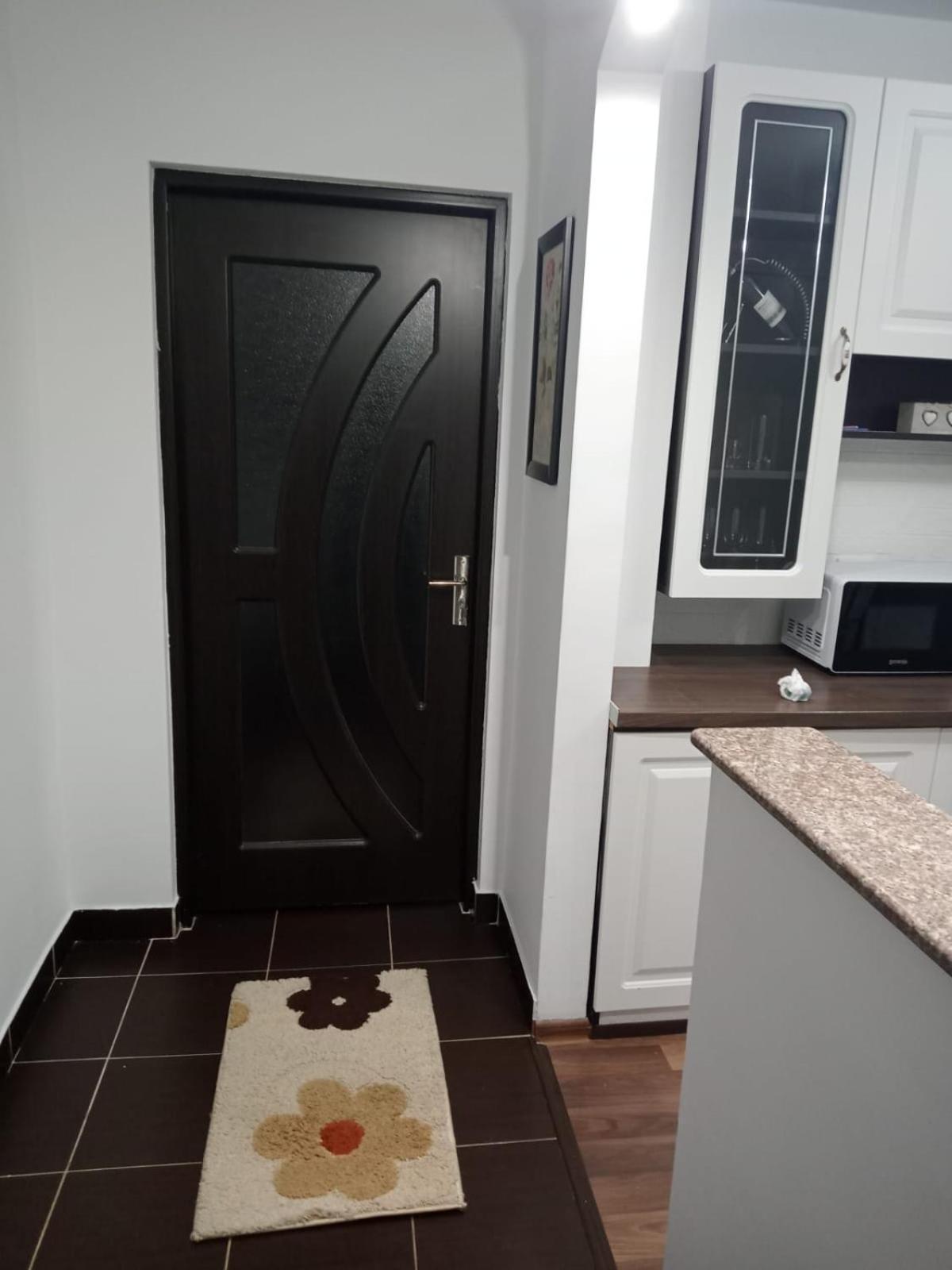 Penti Apartament Suceava Bagian luar foto